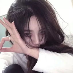 红楼之贾弟弟